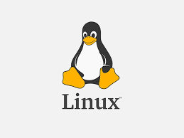 Lazy loaded image